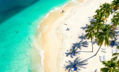 Les Plages de la République Dominicaine : Paradis, Soleil entre Luxe et Nature Sauvage